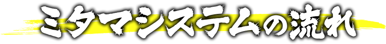 ミタマシステムの流れ